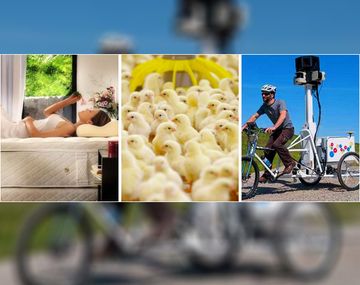 Éstos son los trabajos más divertidos del mundo