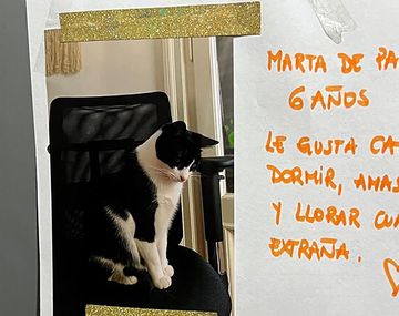 La gata de Palermo que se hizo viral por vincular a vecinos a través de un WhatsApp analógico