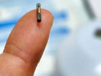 Le implantan chips a empleados en las manos para abrir puertas y activar PCs