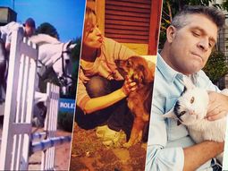 los periodistas de c5n muestran a sus mascotas en el dia del animal los periodistas de c5n muestran a sus mascotas en el dia del animal