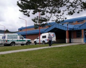 Un pitbull le mordió la cara a un bebé en Junín de los Andes