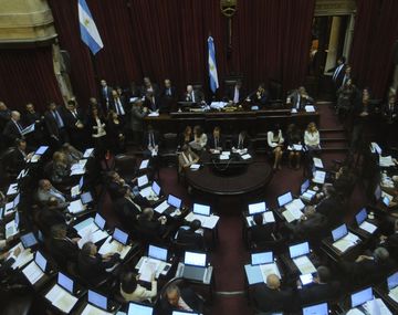 El proyecto de los bonos en dólares ingresó al Senado