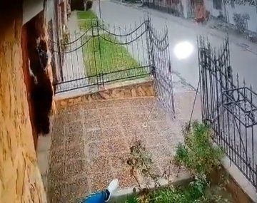 Imágenes sensibles: un abuelo tuvo que matar a su nieto para salvar su vida