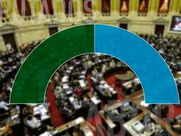 Seguí voto a voto cómo va el debate en el Congreso sobre el aborto legal, seguro y gratuito