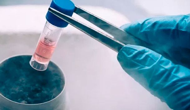 Buscan poner límite de 10 años para la conservación de embriones congelados