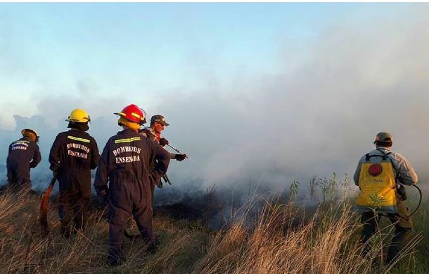 Voraz incendio en la Reserva Natural de Punta Lara