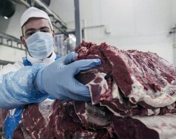 Cortes Cuidados: qué incluye