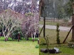 Llegó la nieve a la Costa de Buenos Aires: los videos en Miramar y Mar del Plata