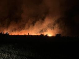 Incendios en Mar del Plata afectan más de 200 hectáreas. Incendios en Mar del Plata afectan más de 200 hectáreas.