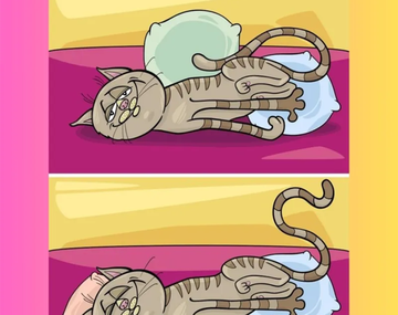 Encontrá las cinco diferencias en 6 segundos