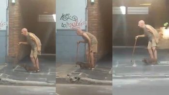 un perro salchicha camina lento como su dueno y la web se derritio de ternura un perro salchicha camina lento como su dueno y la web se derritio de ternura