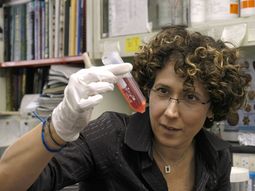 premian a cientifica argentina por sus aportes sobre el virus del dengue premian a cientifica argentina por sus aportes sobre el virus del dengue