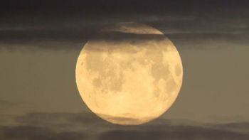 Los signos del zodiaco que fueron beneficiados por la Luna llena y serán impulsados a tomar decisiones drásticas de inmediato Los signos del zodiaco que fueron beneficiados por la Luna llena y serán impulsados a tomar decisiones drásticas de inmediato