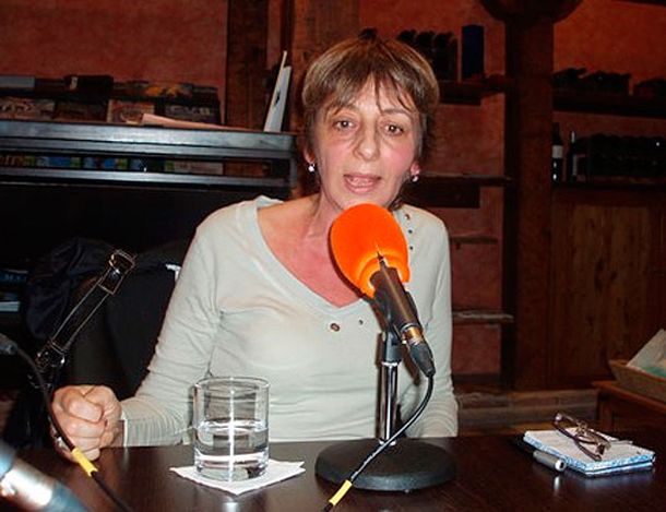 El Senado inició la audiencia pública por el pliego de Gils Carbó