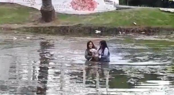 Dos mujeres rescataron a un perro que se ahogaba en La Plata