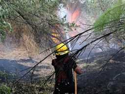 Los vecinos los echaron porque querían seguir quemando basura