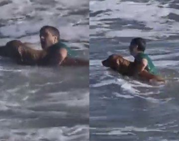 Heroico gesto en Mar del Plata: se metió al mar y salvó un perro arrastrado por la corriente