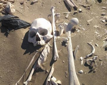 Los esqueletos encontrados en Playa Colombo datan de hace 3 mil años