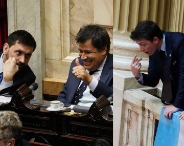 Pablo Juliano y Facundo Manes / Santiago Caputo.