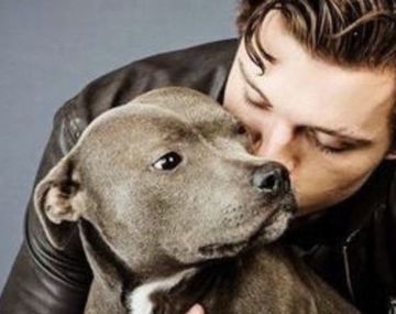 Tom Holland llora su pérdida más dolorosa mientras Zendaya está de gira