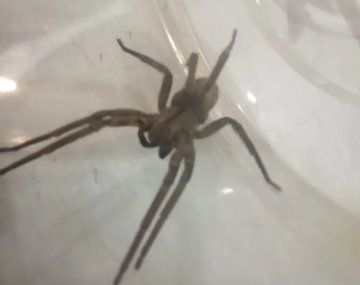 Foto gentileza: 0223