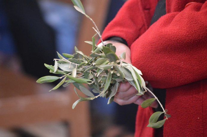 Hoy es Domingo de Ramos: ¿qué se celebra?