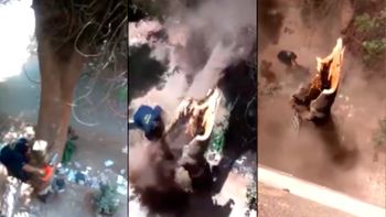 Tuvo un terrible accidente cuando cortaba un árbol Tuvo un terrible accidente cuando cortaba un árbol