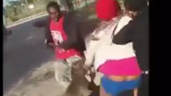 pitbull defendio a una chica de ser agredida pitbull defendio a una chica de ser agredida