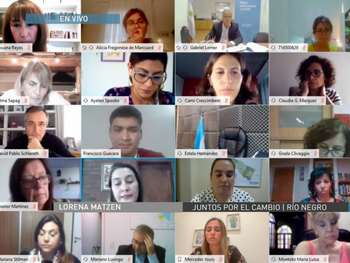 Diputados: por videoconferencia, se reúne la Comisión de Familias, Niñez y Juventudes