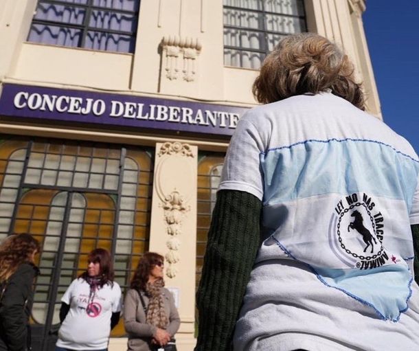 Lanús declaró a los caballos seres sintientes y prohibió la tracción a sangre