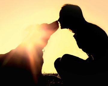 Los riesgos de besar a tu mascota