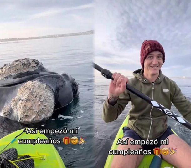Impresionante video: tres ballenas sorprenden a una pareja que remaba en Puerto Madryn