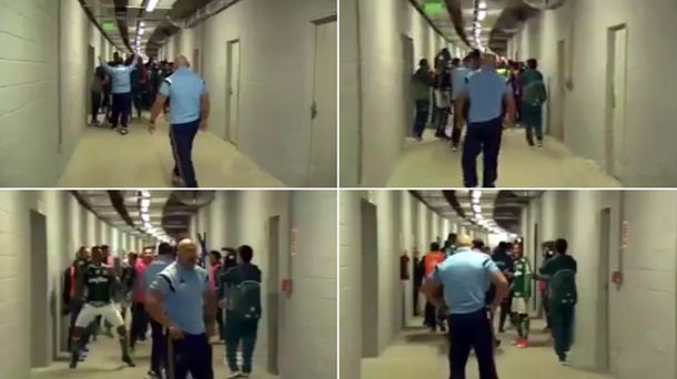 La burda provocación de los jugadores de Palmeiras tras la batalla campal