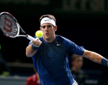 Del Potro le ganó a Dimitrov y avanza en París