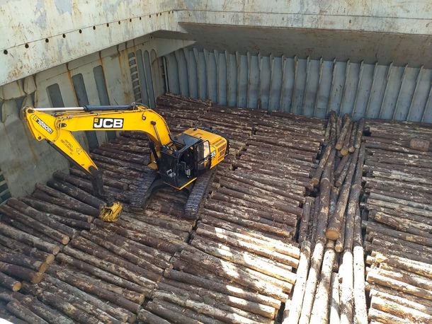 Las exportaciones de pino continúan en franco descenso.