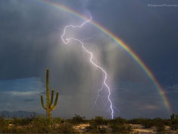 La foto de un rayo y un arcoíris es furor
