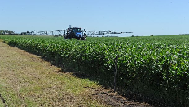 Algunas multinacionales estiman una cosecha de alreedor e 800.000 toneladas de soja en Uruguay.