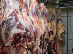 Mayorista de carne de Esteban Echeverría vende medias reses para abaratar los precios