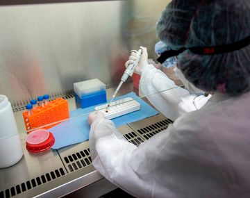 Sigue avanzando la vacuna de Oxford contra el coronavirus: Queda mucho trabajo por hacer