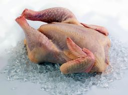 adios al microondas: este es el mejor metodo para descongelar la carne adios al microondas: este es el mejor metodo para descongelar la carne