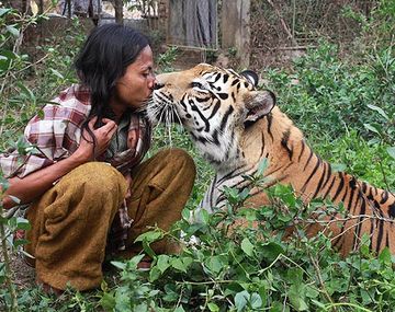 Un tigre de bengala es su mejor amigo