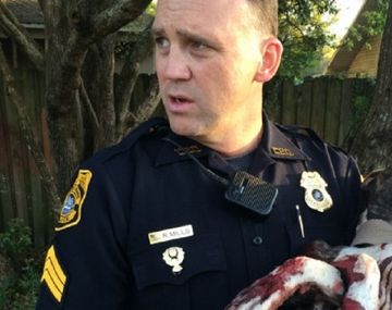 Emotivo rescate de una perra atada en las vías