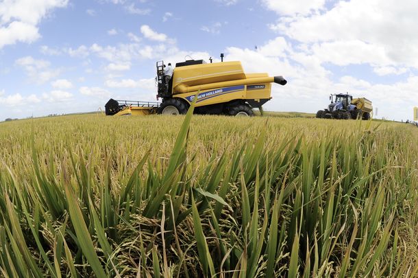 Los sectores productivos del Uruguay tuvieron que ajustarse el cinturón durante 2023