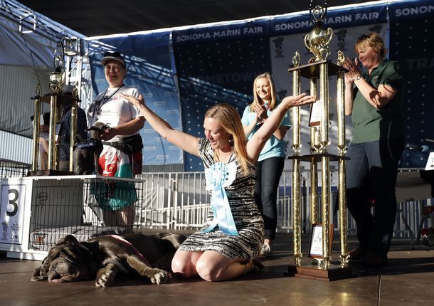 Martha recuperó su vitalidad y se coronó como el perro más feo del mundo