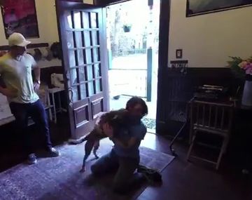 El emotivo reencuentro entre una astronauta y su perro después de casi un año