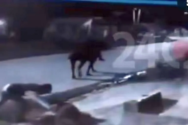 Cabachorros: delincuentes a caballo le roban a un hombre la billetera y el celular