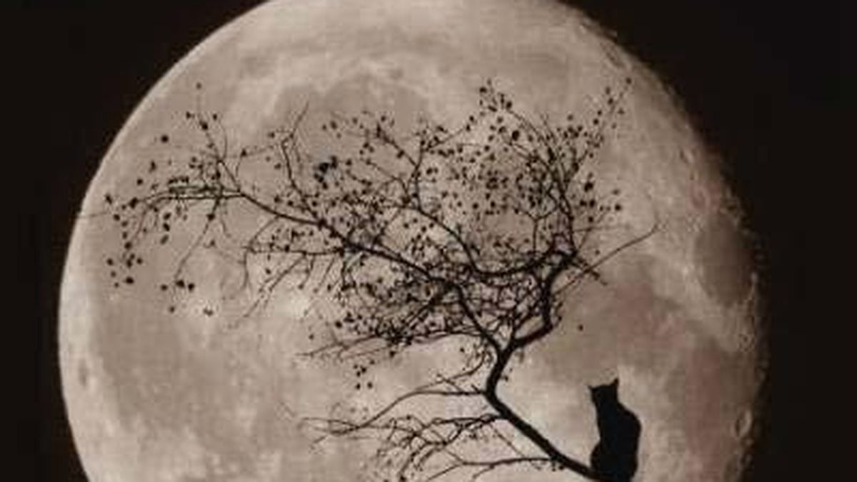 ¿Sos una persona supersticiosa?