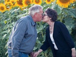Plantó miles de girasoles por su esposa fallecida