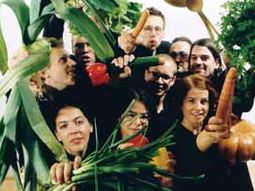 Orquesta vegetal Orquesta vegetal