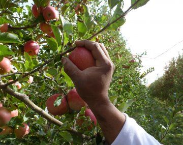 Abre la inscripción al Repro II para recibir un subsidio de casi $20.000